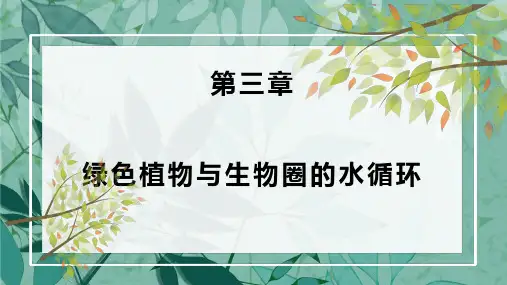 3.3 绿色植物与生物圈的水循环 2022-2023学年七年级生物上册精品课件(人教版)