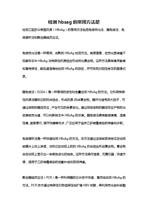 检测hbsag的常用方法是