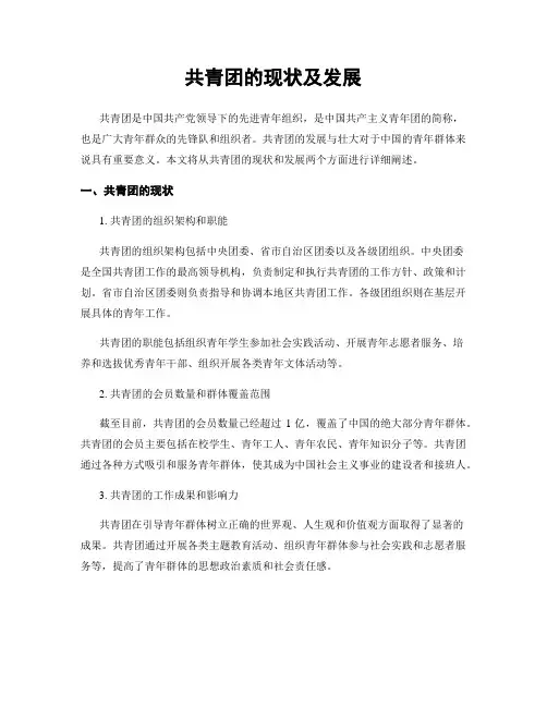 共青团的现状及发展