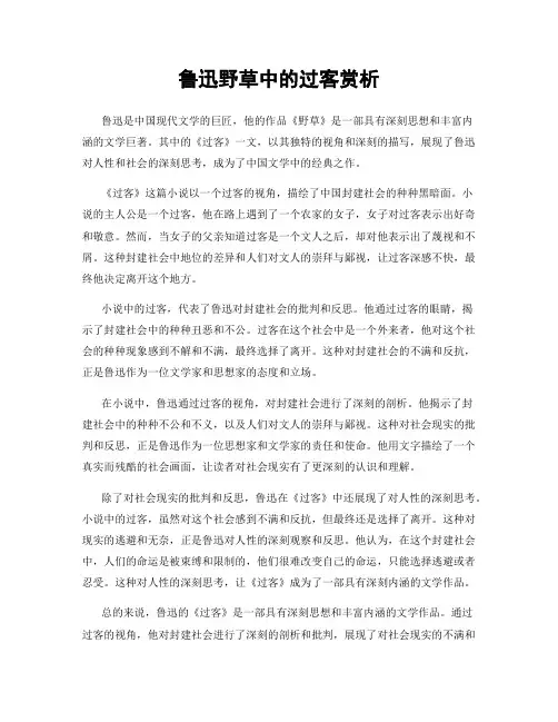 鲁迅野草中的过客赏析