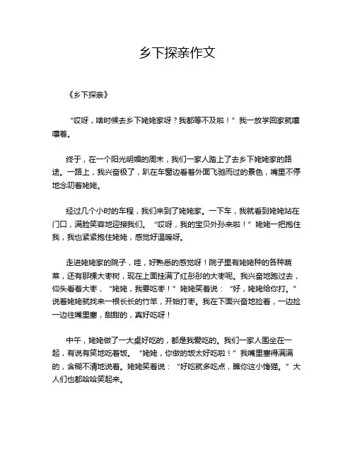 乡下探亲作文