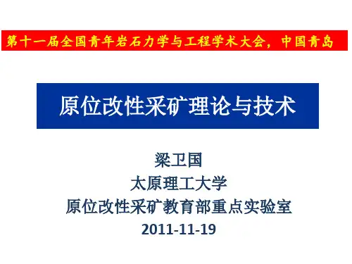 原位改性采矿理论与技术分析