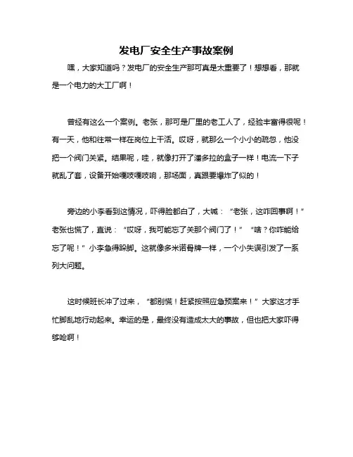 发电厂安全生产事故案例