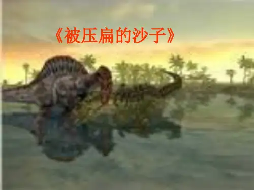 第18课阿西莫夫短文两篇被压扁的沙子PPT课件