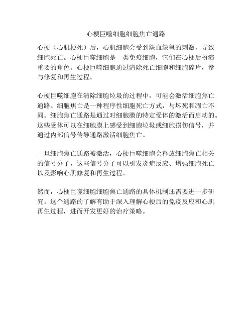 心梗巨噬细胞细胞焦亡通路