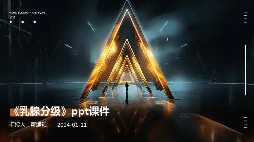 《乳腺分级》PPT课件