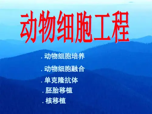 动物细胞培养技术的应用