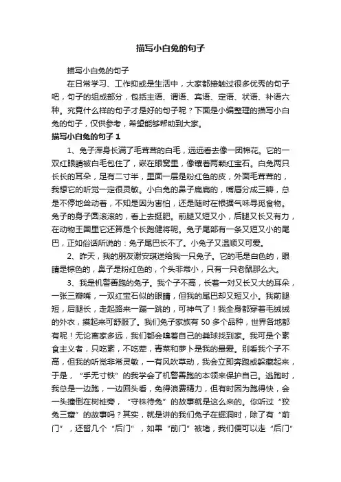 描写小白兔的句子