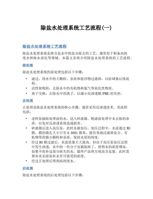 除盐水处理系统工艺流程(一)