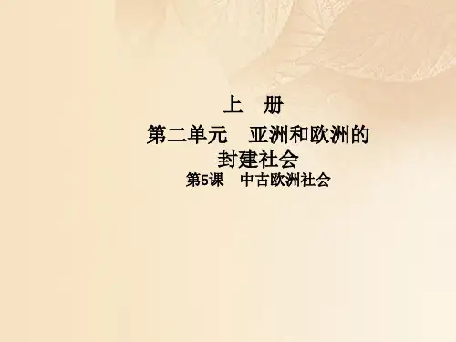 九年级历史上册第二单元亚洲和欧洲的封建社会第5课中古欧洲社会课件新人教版 (1)