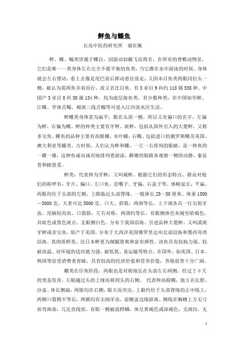 鲆鱼与鲽鱼