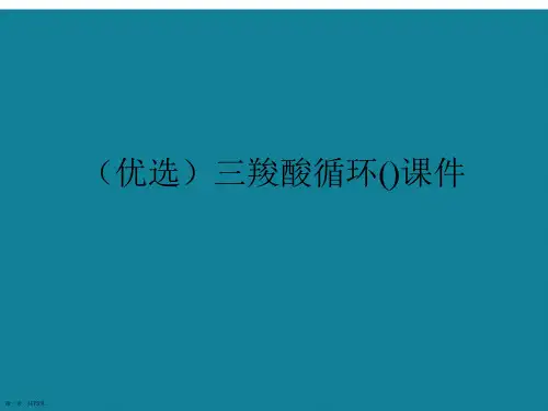 演示文稿三羧酸循环()课件