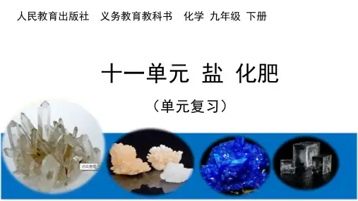 第十一单元盐、化肥复习-人教版九年级化学复习课件(共21张PPT)
