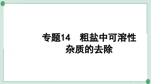 中考化学系统复习专题粗盐中可溶性杂质的去除