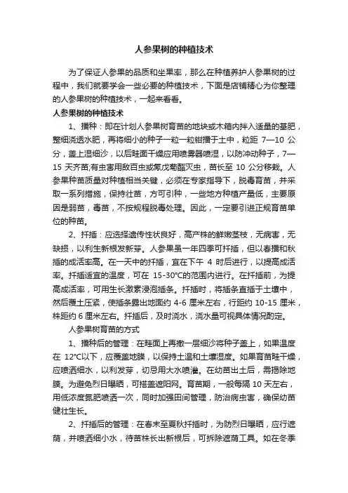 人参果树的种植技术