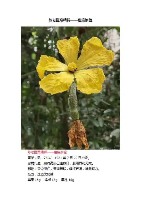 陈老医案精解——瘟疫治验
