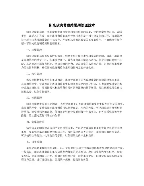 阳光玫瑰葡萄结果期管理技术