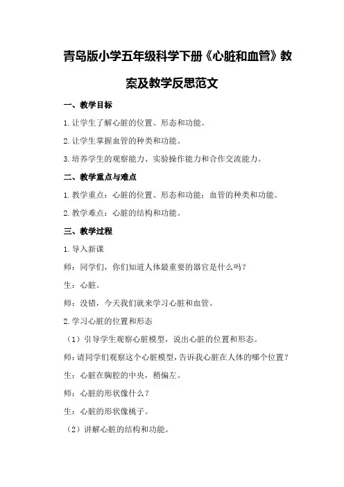 青岛版小学五年级科学下册《心脏和血管》教案及教学反思范文
