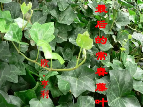 欧亨利：最后的常春藤叶