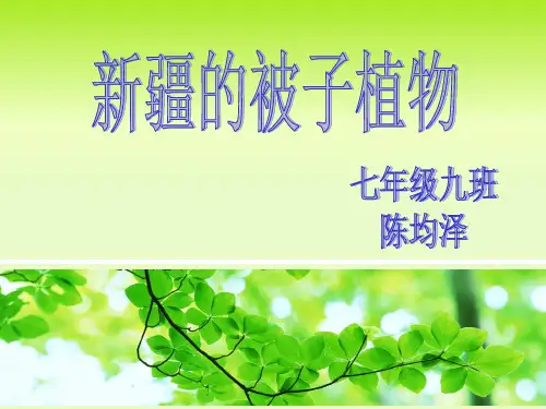 新疆特有的裸子植物和被子植物