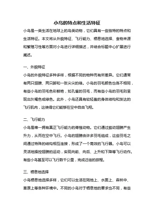 小鸟的特点和生活特征