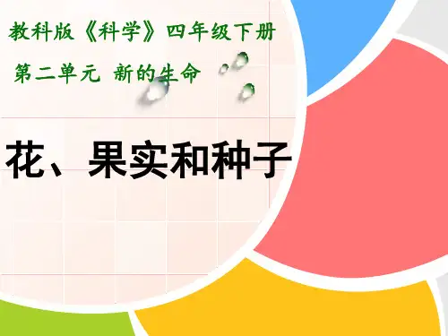 四年级下 花 果实和种子教科版ppt 优质课