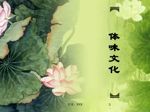 高中思想政治必修三文化生活第一课第一框体味文化PPT参考课件