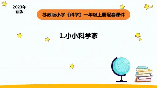 苏教版小学科学一年级上册1.1小小科学家(课件共20张)