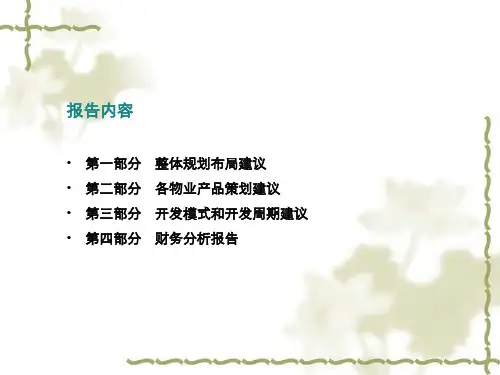 某房地产项目产品策划报告及财务分析报告