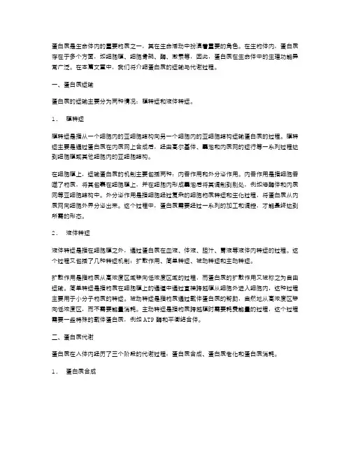 中学生物：蛋白质的运输与代谢过程