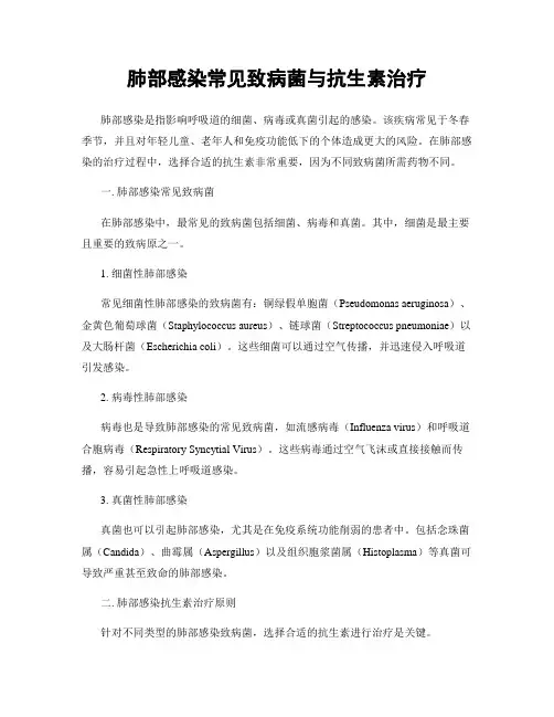 肺部感染常见致病菌与抗生素治疗