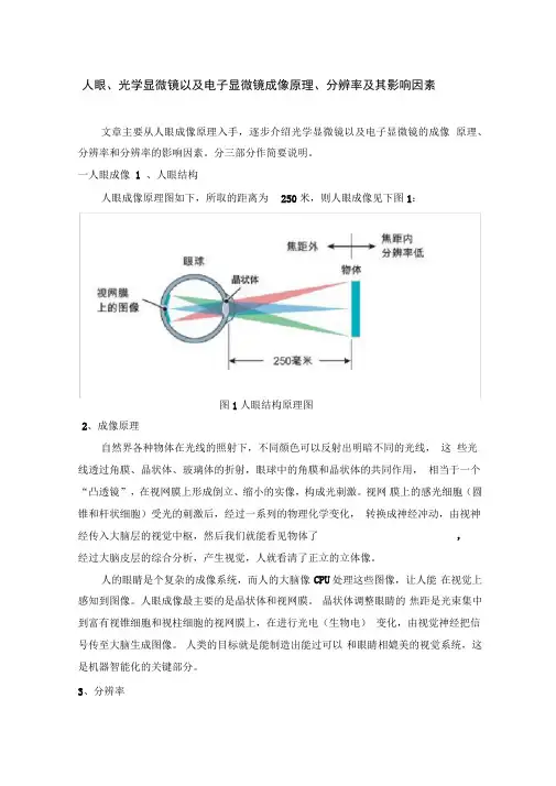 人眼、光学显微镜以及电子显微镜成像原理、分辨率及其影响因素