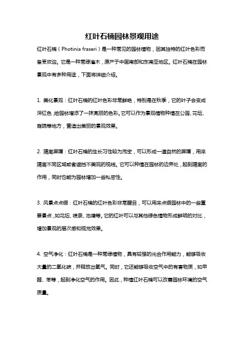 红叶石楠园林景观用途
