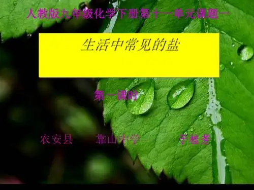 生活中常见的盐 PPT教学课件32 人教版