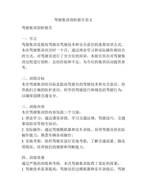 驾驶集训剖析报告范文