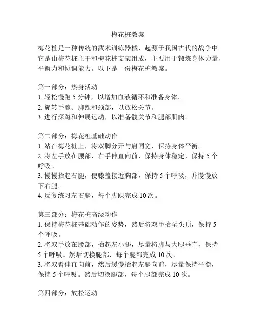 梅花桩教案