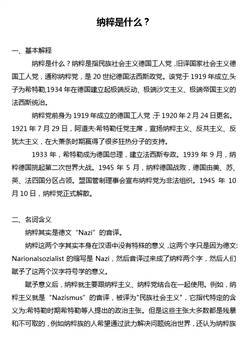 纳粹是什么