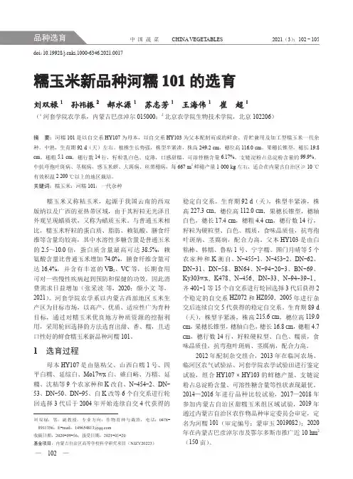 糯玉米新品种河糯101的选育