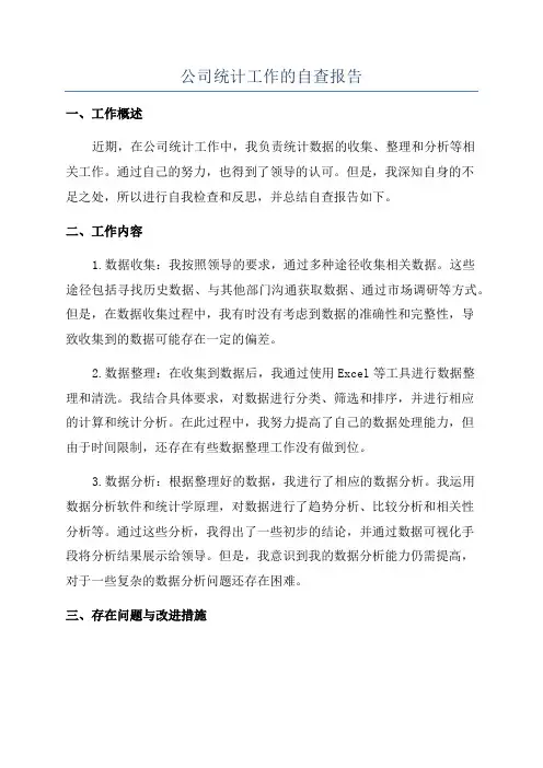 公司统计工作的自查报告