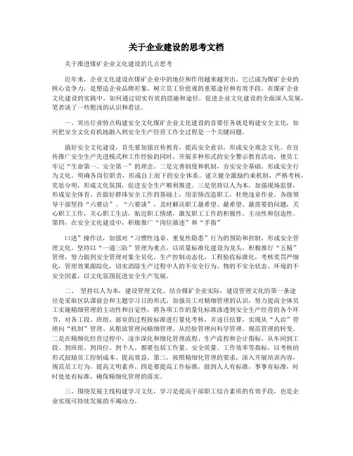 关于企业建设的思考文档