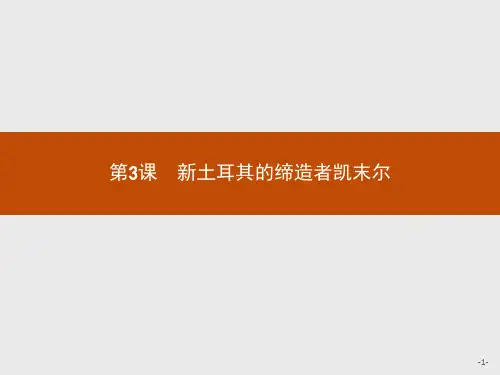2020学年高中历史人教版选修4课件：4.3 新土耳其的缔造者凯末尔