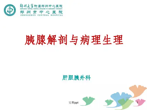 胰腺解剖与病理生理