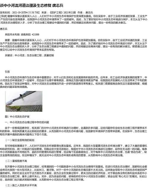 谈中小河流河道治理及生态修复唐志兵