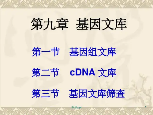 基因文库(1)