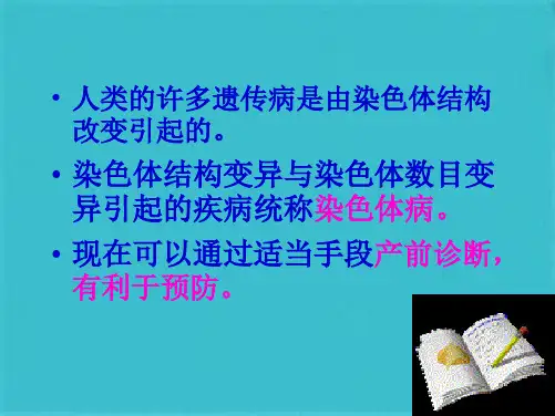 染色体结构变异(共101张PPT)