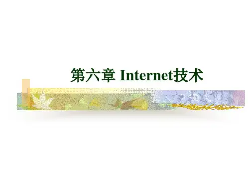 计算机网络ip及域名精品PPT课件