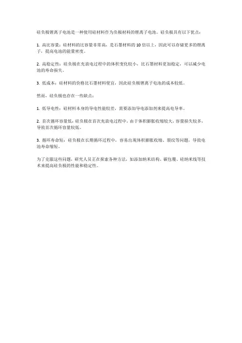 硅负极锂离子电池