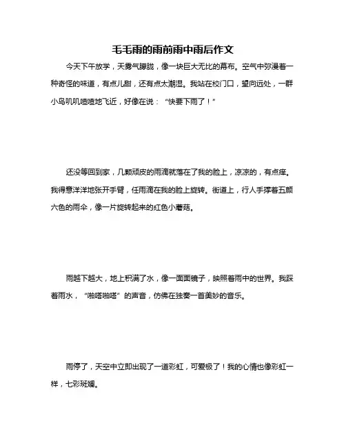 毛毛雨的雨前雨中雨后作文