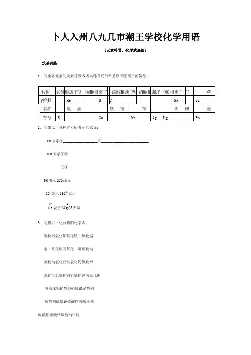 九年级化学上册 专题突破训练 化学用语  试题