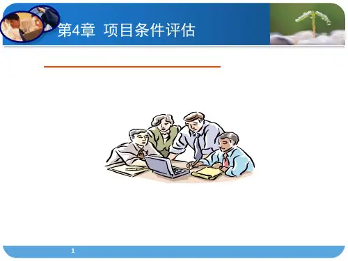 投资项目评估——项目建设条件评估